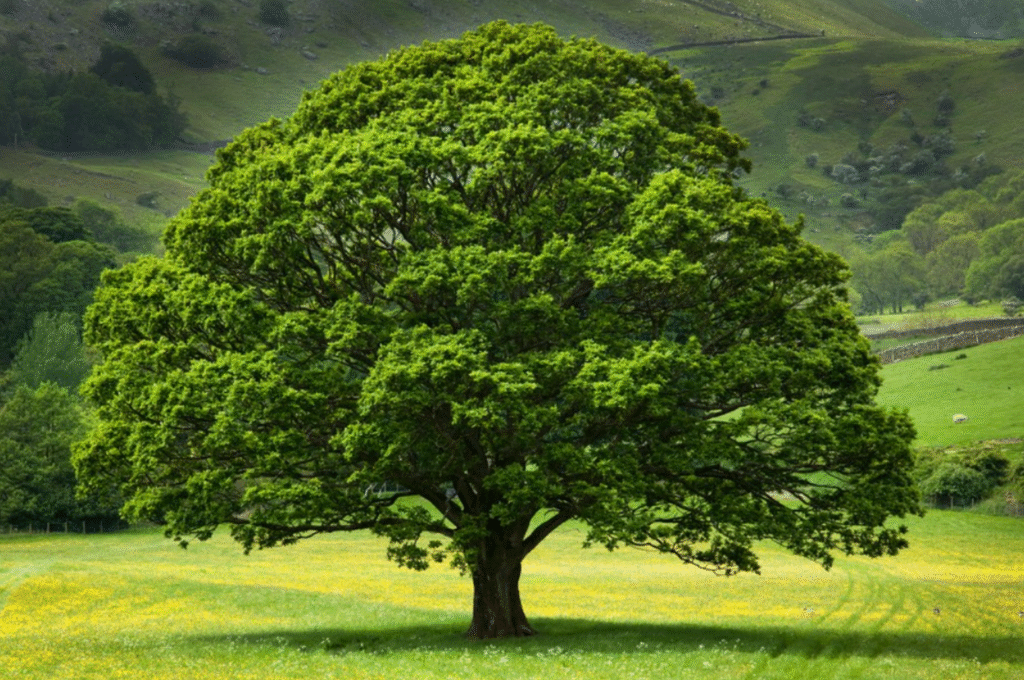 screenshot 2025 10 11 at 22.13.05