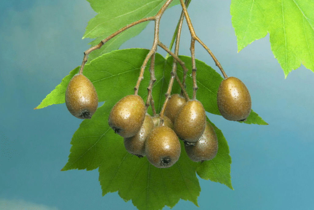 screenshot 2025 10 11 at 22.28.44