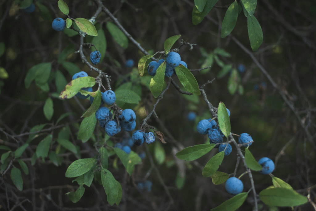 screenshot 2025 10 11 at 22.38.09