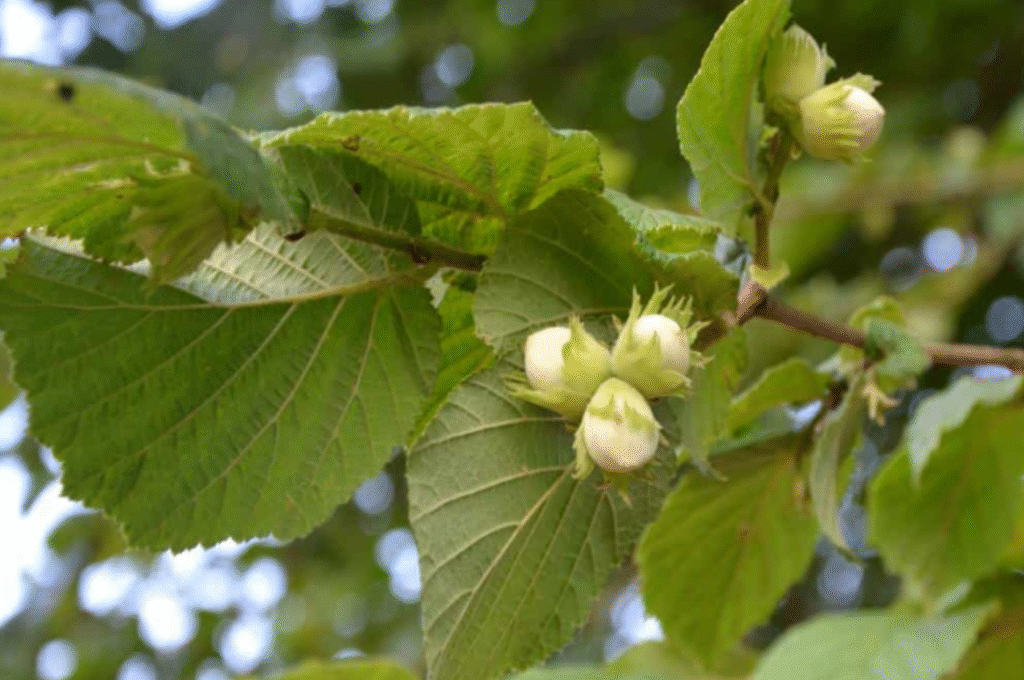 screenshot 2025 10 11 at 22.47.23