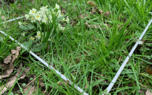 microwild images 1 min